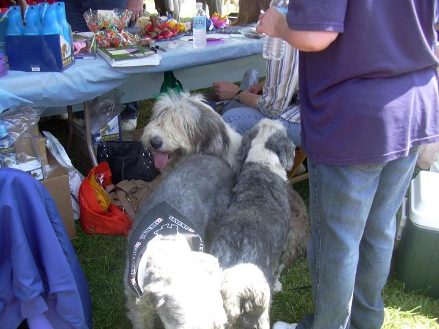 /images/events/11/Bark in the Park 2008 011.jpg